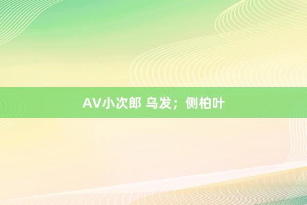 AV小次郎 乌发；侧柏叶