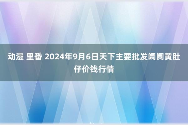 动漫 里番 2024年9月6日天下主要批发阛阓黄肚仔价钱行情