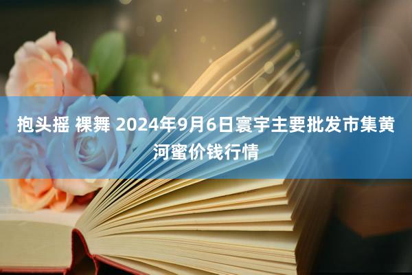 抱头摇 裸舞 2024年9月6日寰宇主要批发市集黄河蜜价钱行情