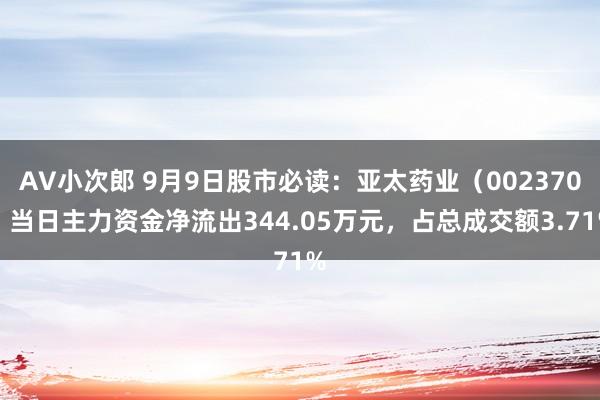 AV小次郎 9月9日股市必读：亚太药业（002370）当日主力资金净流出344.05万元，占总成交额3.71%