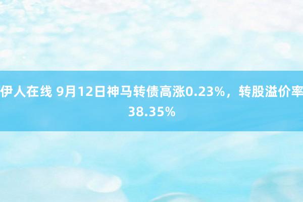 伊人在线 9月12日神马转债高涨0.23%，转股溢价率38.35%