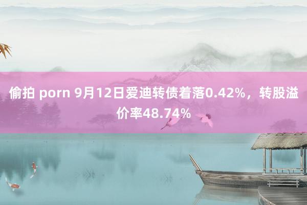 偷拍 porn 9月12日爱迪转债着落0.42%，转股溢价率48.74%