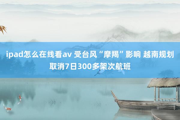 ipad怎么在线看av 受台风“摩羯”影响 越南规划取消7日300多架次航班