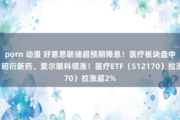 porn 动漫 好意思联储超预期降息！医疗板块盘中走强，昭衍新药、爱尔眼科领涨！医疗ETF（512170）拉涨超2%