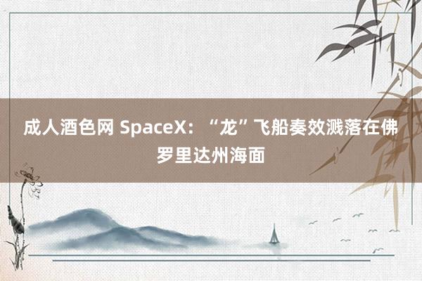 成人酒色网 SpaceX：“龙”飞船奏效溅落在佛罗里达州海面