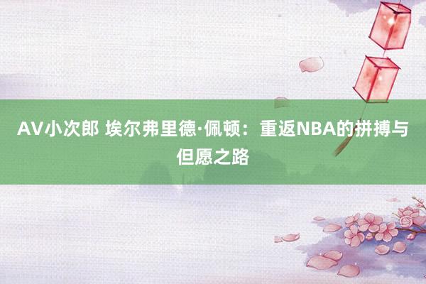 AV小次郎 埃尔弗里德·佩顿：重返NBA的拼搏与但愿之路