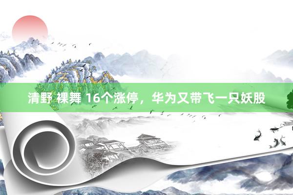 清野 裸舞 16个涨停，华为又带飞一只妖股