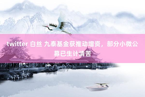 twitter 白丝 九泰基金获推动增资，部分小微公募已生计清苦