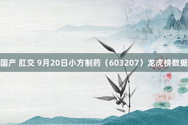 国产 肛交 9月20日小方制药（603207）龙虎榜数据