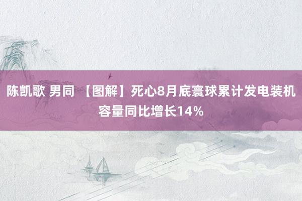 陈凯歌 男同 【图解】死心8月底寰球累计发电装机容量同比增长14%