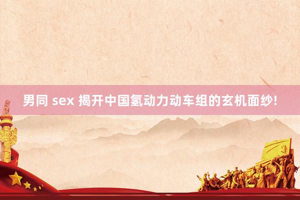 男同 sex 揭开中国氢动力动车组的玄机面纱!