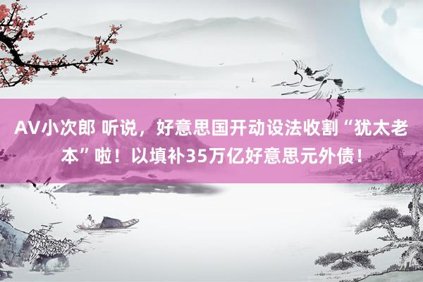 AV小次郎 听说，好意思国开动设法收割“犹太老本”啦！以填补35万亿好意思元外债！