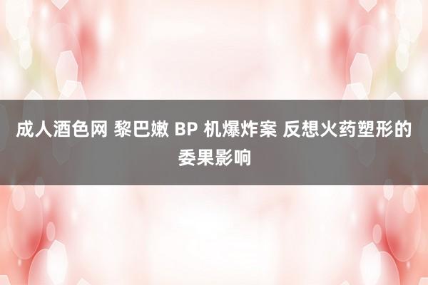 成人酒色网 黎巴嫩 BP 机爆炸案 反想火药塑形的委果影响