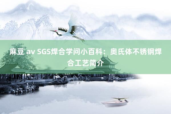 麻豆 av SGS焊合学问小百科：奥氏体不锈钢焊合工艺简介