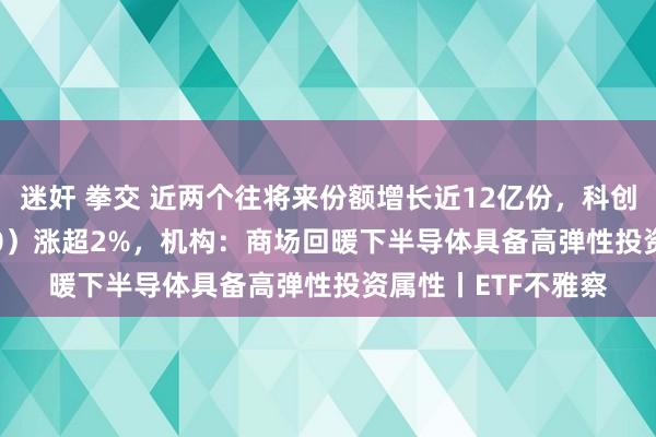 迷奸 拳交 近两个往将来份额增长近12亿份，科创芯片ETF（588200）涨超2%，机构：商场回暖下半导体具备高弹性投资属性丨ETF不雅察