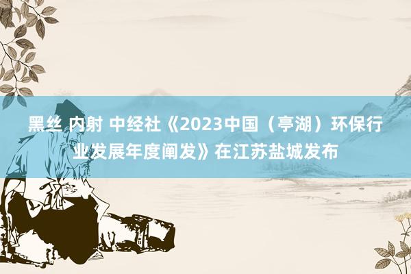 黑丝 内射 中经社《2023中国（亭湖）环保行业发展年度阐发》在江苏盐城发布