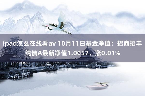 ipad怎么在线看av 10月11日基金净值：招商招丰纯债A最新净值1.0057，涨0.01%