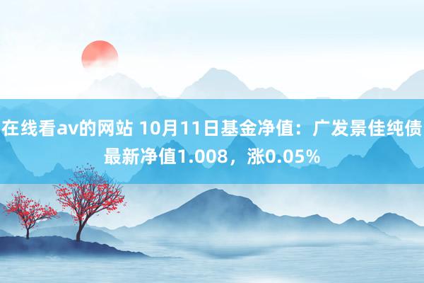 在线看av的网站 10月11日基金净值：广发景佳纯债最新净值1.008，涨0.05%