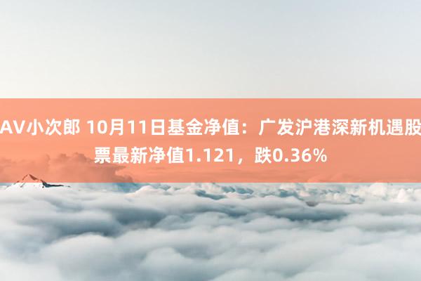 AV小次郎 10月11日基金净值：广发沪港深新机遇股票最新净值1.121，跌0.36%