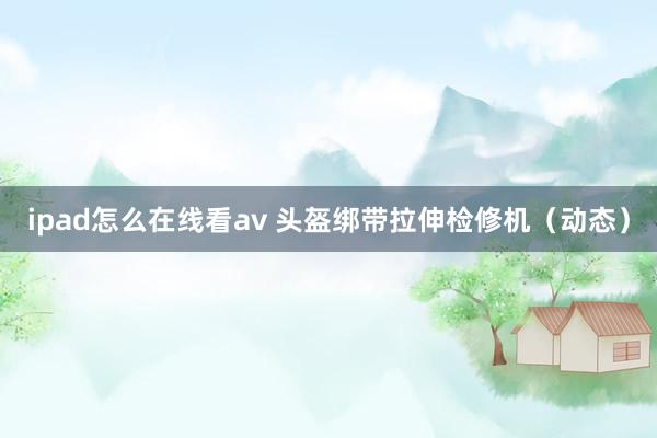 ipad怎么在线看av 头盔绑带拉伸检修机（动态）