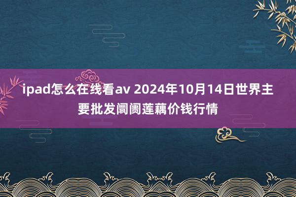 ipad怎么在线看av 2024年10月14日世界主要批发阛阓莲藕价钱行情