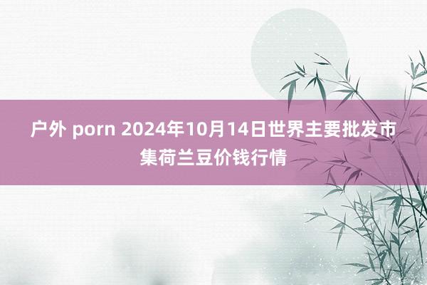 户外 porn 2024年10月14日世界主要批发市集荷兰豆价钱行情