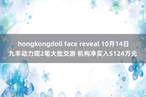 hongkongdoll face reveal 10月14日九丰动力现2笔大批交游 机构净买入5124万元