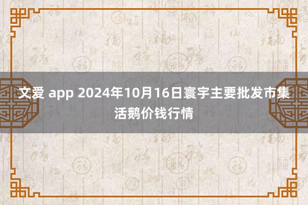 文爱 app 2024年10月16日寰宇主要批发市集活鹅价钱行情