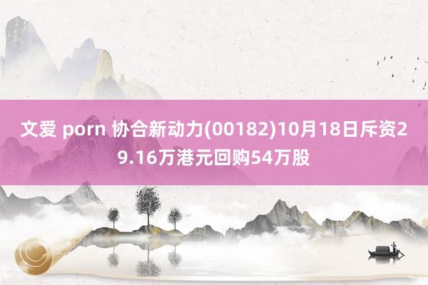 文爱 porn 协合新动力(00182)10月18日斥资29.16万港元回购54万股