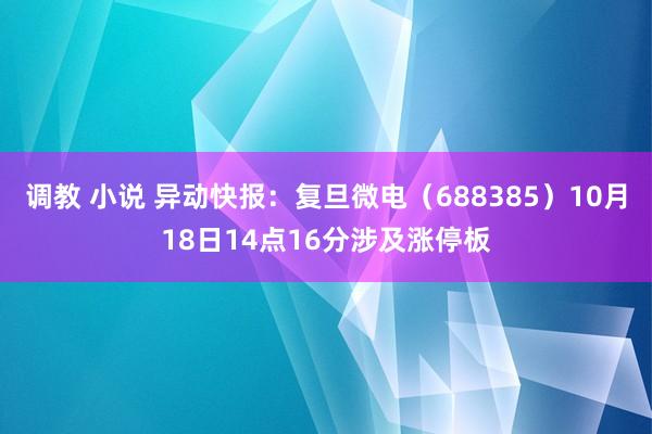 调教 小说 异动快报：复旦微电（688385）10月18日14点16分涉及涨停板