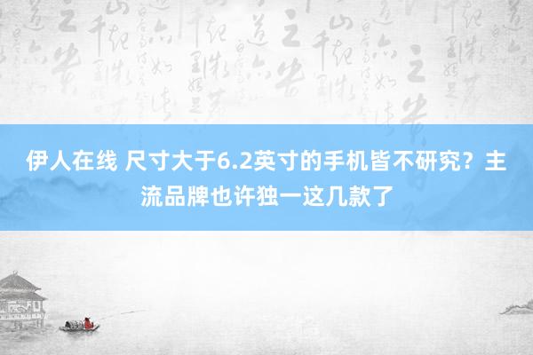 伊人在线 尺寸大于6.2英寸的手机皆不研究？主流品牌也许独一这几款了