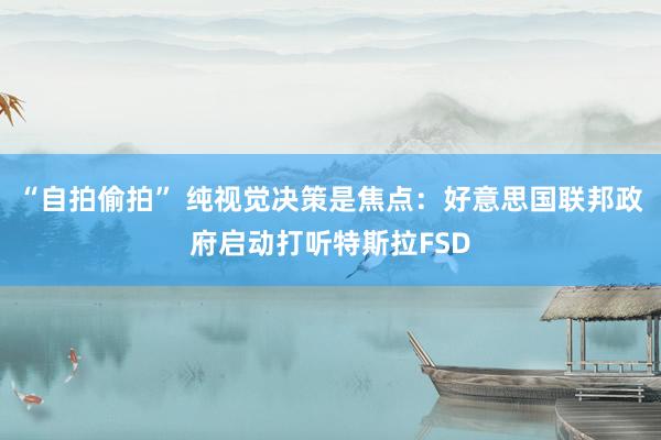 “自拍偷拍” 纯视觉决策是焦点：好意思国联邦政府启动打听特斯拉FSD