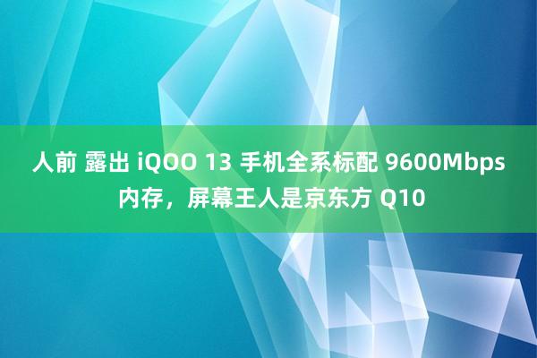 人前 露出 iQOO 13 手机全系标配 9600Mbps 内存，屏幕王人是京东方 Q10