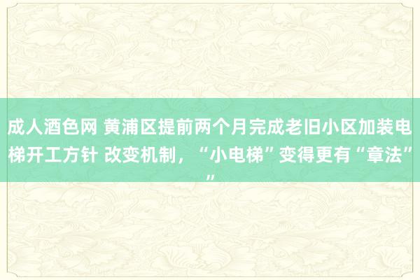 成人酒色网 黄浦区提前两个月完成老旧小区加装电梯开工方针 改变机制，“小电梯”变得更有“章法”