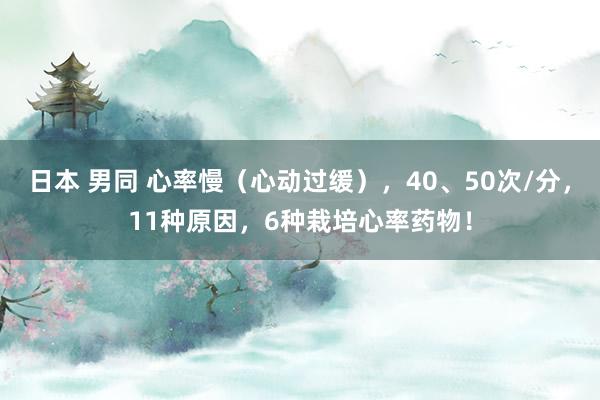 日本 男同 心率慢（心动过缓），40、50次/分，11种原因，6种栽培心率药物！