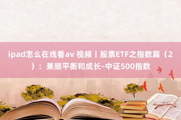 ipad怎么在线看av 视频丨股票ETF之指数篇（2）：兼顾平衡和成长-中证500指数