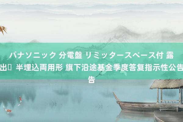 パナソニック 分電盤 リミッタースペース付 露出・半埋込両用形 旗下沿途基金季度答复指示性公告