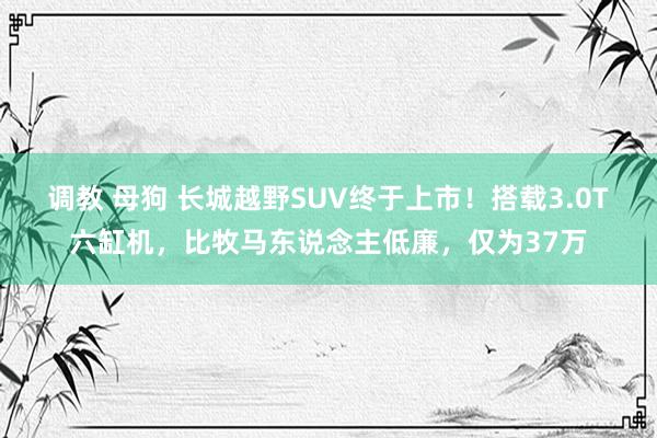 调教 母狗 长城越野SUV终于上市！搭载3.0T六缸机，比牧马东说念主低廉，仅为37万