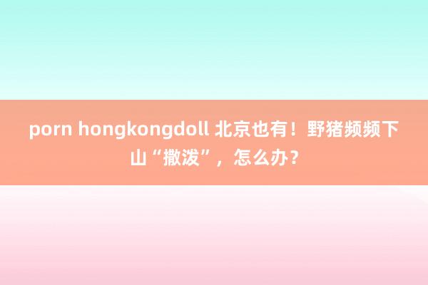 porn hongkongdoll 北京也有！野猪频频下山“撒泼”，怎么办？