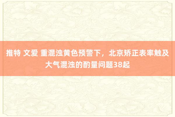 推特 文爱 重混浊黄色预警下，北京矫正表率触及大气混浊的酌量问题38起