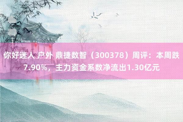 你好迷人 户外 鼎捷数智（300378）周评：本周跌7.90%，主力资金系数净流出1.30亿元