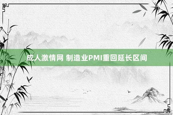 成人激情网 制造业PMI重回延长区间