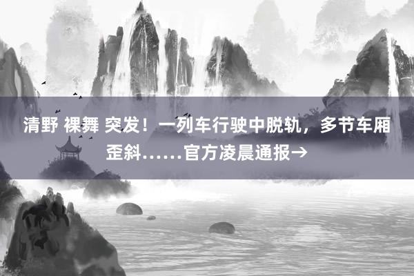 清野 裸舞 突发！一列车行驶中脱轨，多节车厢歪斜……官方凌晨通报→