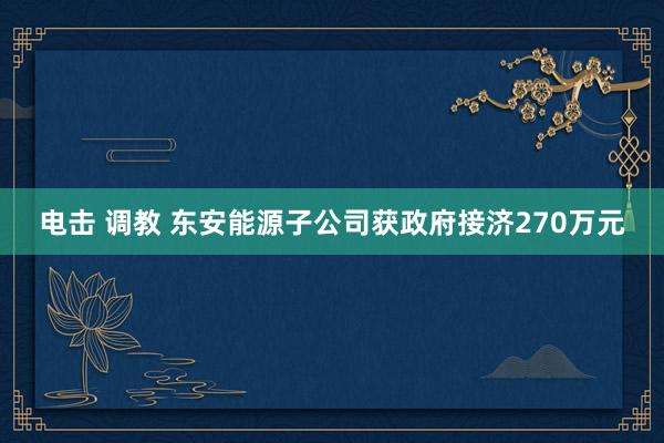 电击 调教 东安能源子公司获政府接济270万元