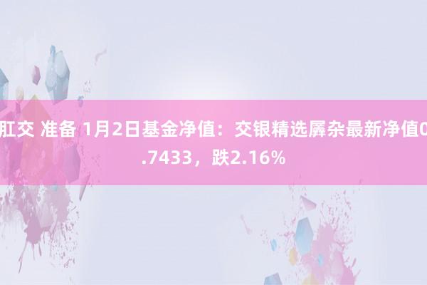 肛交 准备 1月2日基金净值：交银精选羼杂最新净值0.7433，跌2.16%