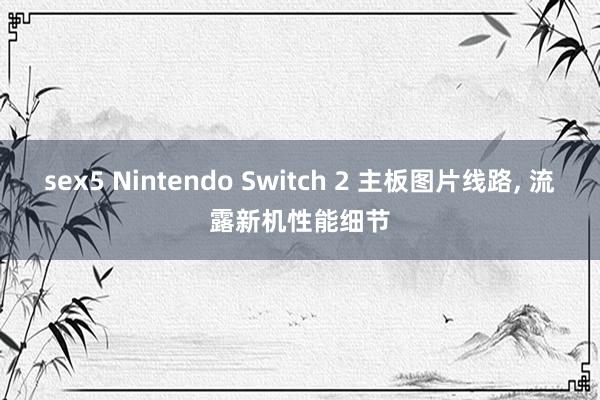 sex5 Nintendo Switch 2 主板图片线路， 流露新机性能细节