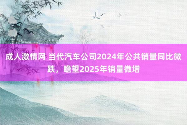 成人激情网 当代汽车公司2024年公共销量同比微跌，瞻望2025年销量微增