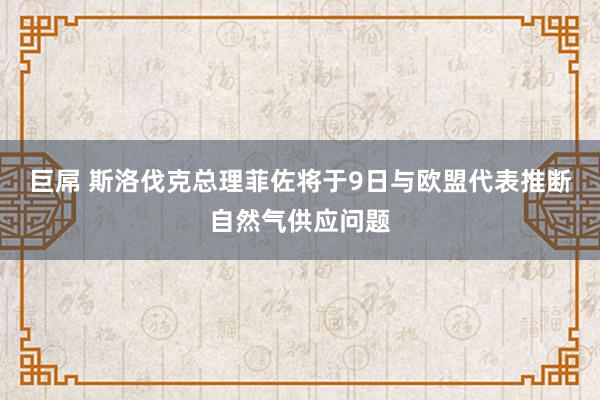 巨屌 斯洛伐克总理菲佐将于9日与欧盟代表推断自然气供应问题