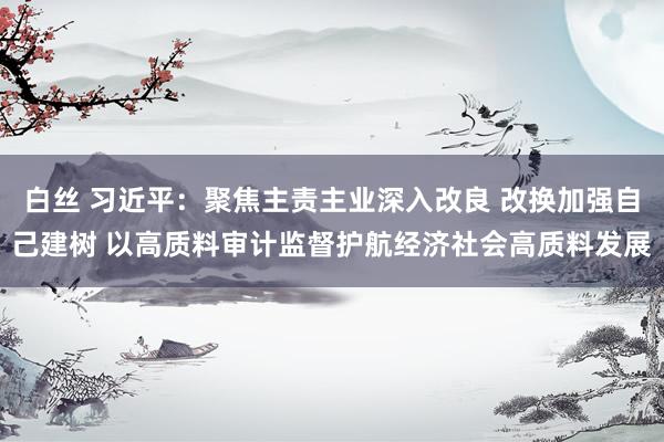 白丝 习近平：聚焦主责主业深入改良 改换加强自己建树 以高质料审计监督护航经济社会高质料发展