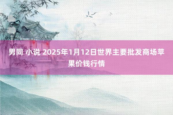 男同 小说 2025年1月12日世界主要批发商场苹果价钱行情